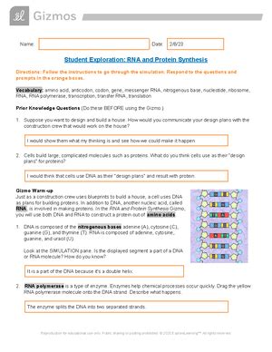 DNA Simulation Worksheet 的图像结果