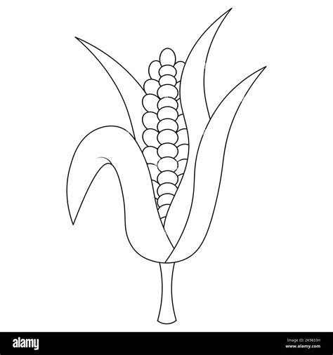 Ears Of Corn Coloring Pages