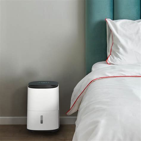 How to use a dehumidifier in winter: expert tips | Ideal Home