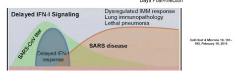 ...простым языком на злободневную тему и даже выход (предположение ...