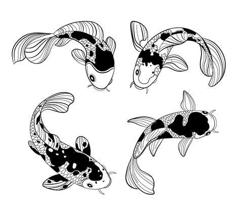 Koi Fish Drawing Illustrations – PMGLFP