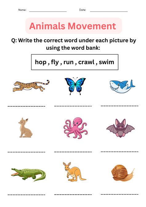 Animals Worksheets For Kindergarten