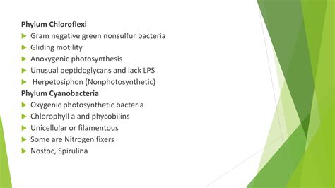 Bacterial morphology and classification.pptx