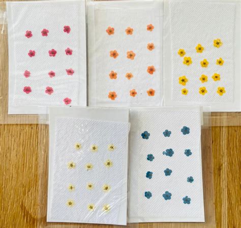 Mini Pressed Flower Sheet (A) – Resin Bazaar