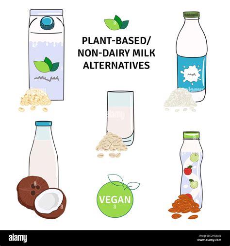 Set of plant-based, non-dairy milk alternatives. Milk bottle and carton box, yogurt. Almond, soy ...