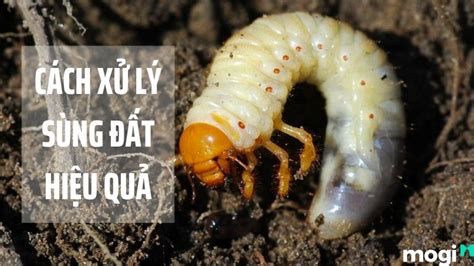 Image result for Alien Rap Song