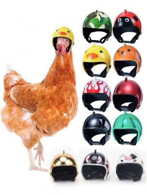 2pcs Chicken/Bird Helmet Funny Pet Safety Cap Animal Headgear (Pattern ...
