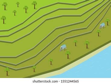 Java Rice Drawing 的图像结果