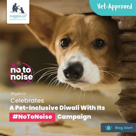 Wiggles.in Celebrates A Pet-Inclusive Diwali With Its #NoToNoise Campa