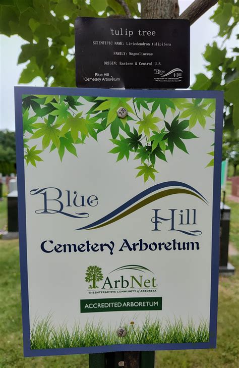 Arboretum Landing Page | Blue Hill Cemetery and Crematory