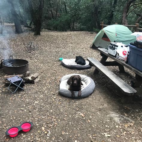 Uvas Canyon County Park Camping | The Dyrt