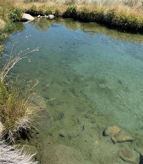 Popular California hot spring reportedly has brain-eating amoeba in water