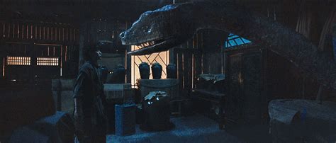 Python Film 的图像结果