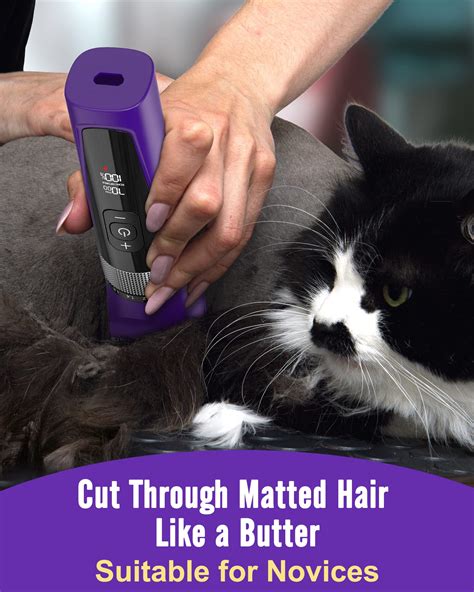 Cutting Matted Cat Hair