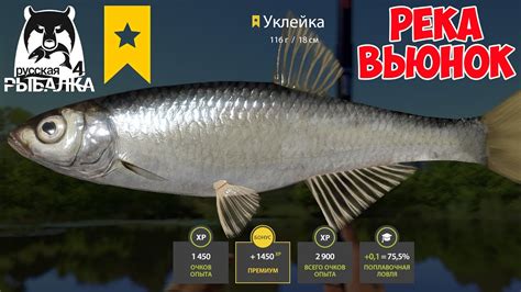 ОТЛИЧНЫЙ КЛЕВ УКЛЕЙКИ В 3 ПАЛКИ НА ВЬЮНКЕ РУССКАЯ РЫБАЛКА 4 РР4 - YouTube