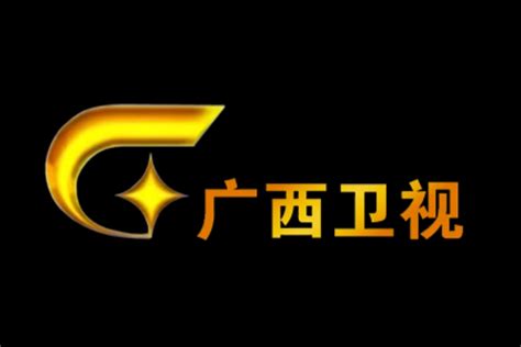 广东卫视logo升级设计_bj5dsoul-站酷ZCOOL