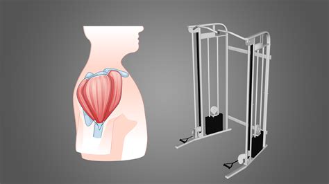 6 Best Cable Machine Shoulder Exercises (with Pictures!) - Inspire US