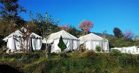 Camp Nirvana Guptkashi