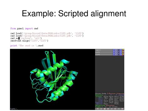 PyMOL Structure Alignment 的图像结果