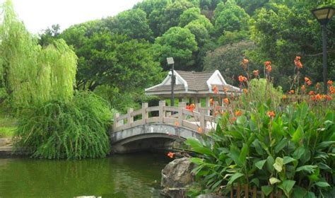 温州绣山公园 之 小桥流水_温州市旅游景点_行包客图片