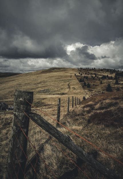 Beauty in Nature 的图像结果