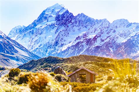 Colorful World 的图像结果