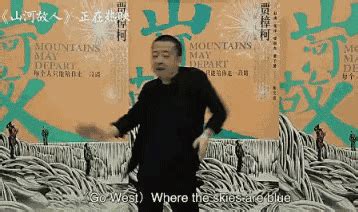 出征前 贾樟柯等导演谈“中国电影的戛纳迷失”-搜狐娱乐