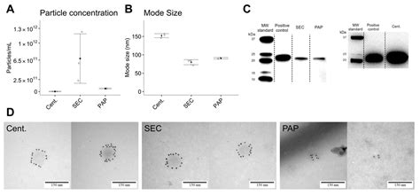 Mass-Spectrometry Based Proteome Comparison of Extracellular Vesicle ...