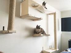 amaca per gatti mobili per gatti percorsi lettini tiragraffi amaca parete amaca per gatti mobili per gatti percorsi lettini tiragraffi amaca parete