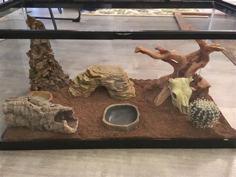 Preparing the habitat for the leopard gecko that I’m getting this ...