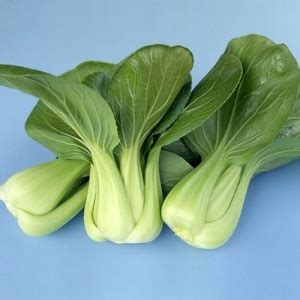Atlus HYBRID CABBAGE, CHOKO (GREEN LEAF PAK CHOI) Seed Price in India ...