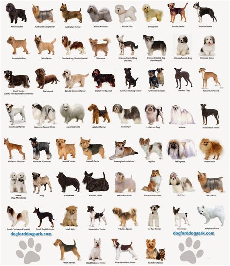 Image result for Programing Library