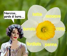 consoli narciso pensieri immaginati canzoni quot immaginate quot consoli narciso pensieri immaginati canzoni quot immaginate quot