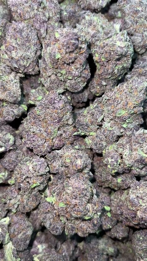 Discover more like Weed: Purple pineapple ($800 per pound) and Related ...