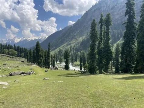 India 的图像结果