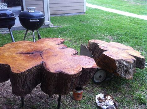 Image result for DIY Rooted Tree Trunk Table