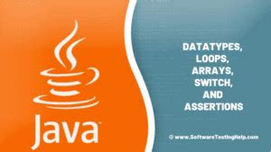 Image result for Java Assertions