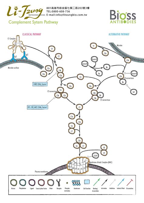 Complement Complexity 的图像结果