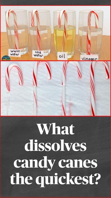 Christmas science experiment for kids dissolving candy canes – Artofit