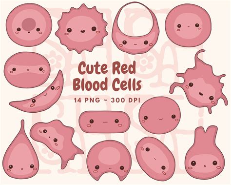 Cute Red Blood Cell Morphology Clip Art, Hematology, Cute Biology ...