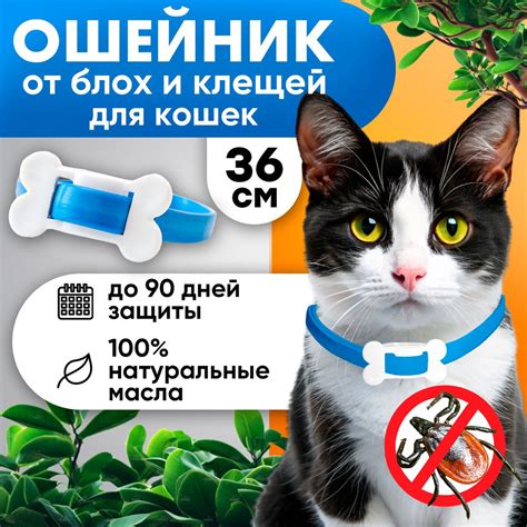 Ошейник для кошек от блох и клещей, 1шт - купить с доставкой по ...