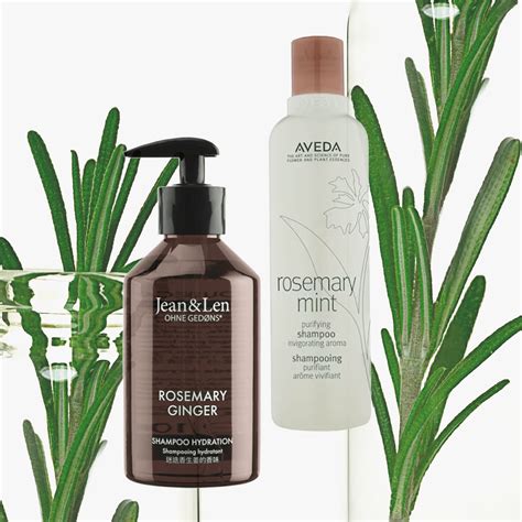 Die 5 besten Haarwachstum-Shampoos – laut Dermatolog:innen und Hair ...