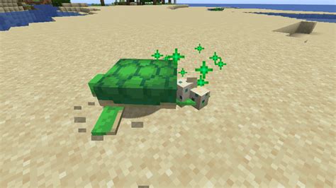 Turtle Tutorial Minecraft 的图像结果