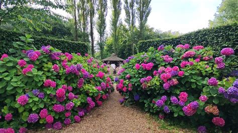 LA FONTAINE ROMY (Genneville) - B&B Reviews, Photos, Rate Comparison ...