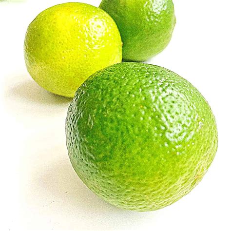 Do Limes.have Seeds at Ida Wheeler blog