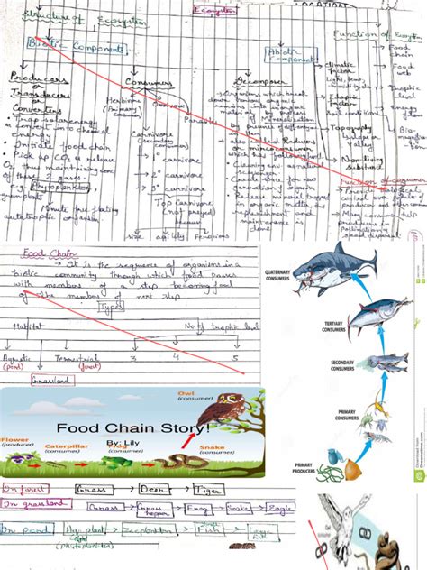 Image result for Class 10 Environment Projects