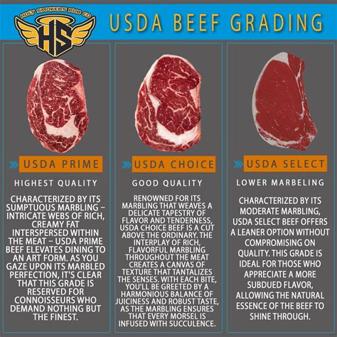 USDA Beef Grading Poster