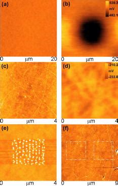 High-Tech Microscope 的图像结果