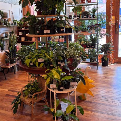 The Green Goose Shop 🪿 (@greengooseshop) • Instagram photos and videos