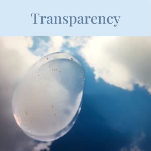 d'you Hustle Multiactive Vitamin C Face Serum with Niacinamide ...